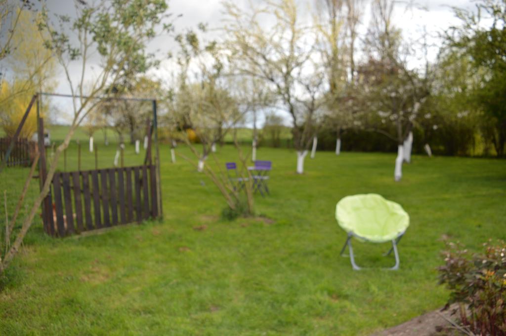 Bed and Breakfast Au Passage des Grues Drosnay Exterior foto